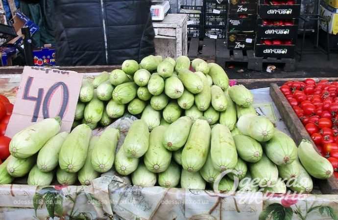 Привоз. Котова