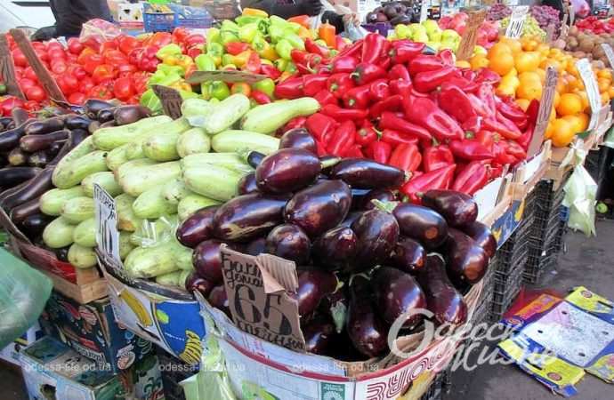 Привоз. Котова