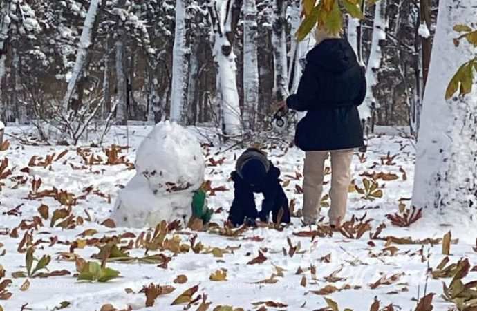 Зиомва казка. Снігопад