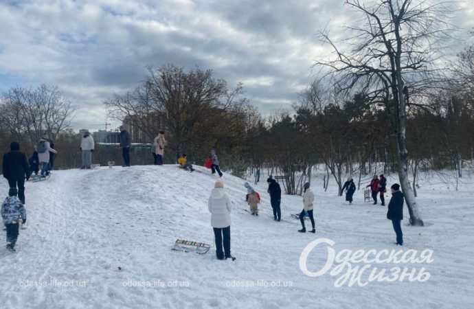 Зиомва казка. Снігопад
