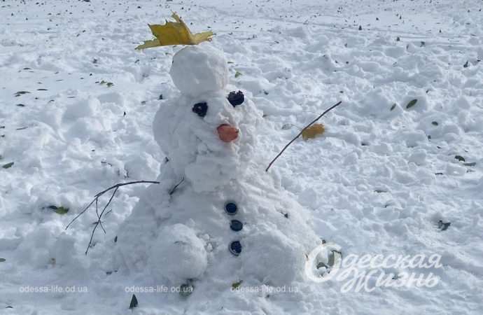 Зиомва казка. Снігопад