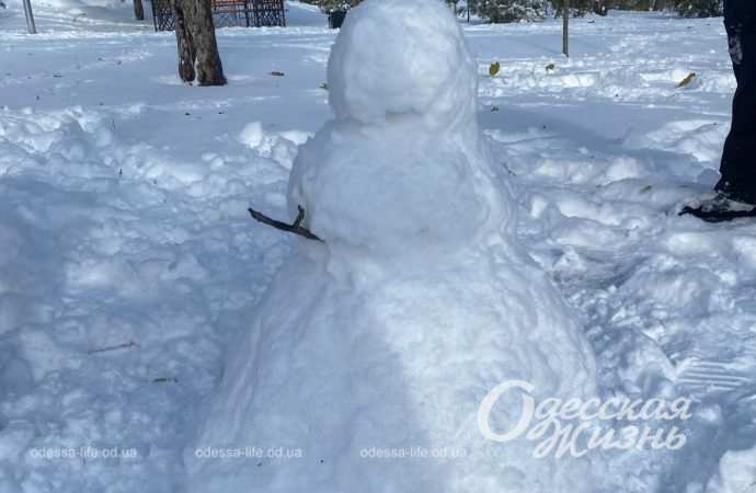 Зиомва казка. Снігопад