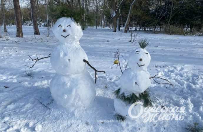 Зиомва казка. Снігопад