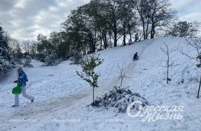 Зиомва казка. Снігопад