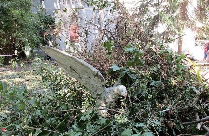 Замок монстров. Котова