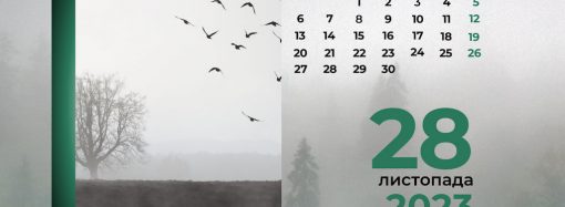 Какой сегодня день: праздники, именины, запреты и приметы 28 ноября