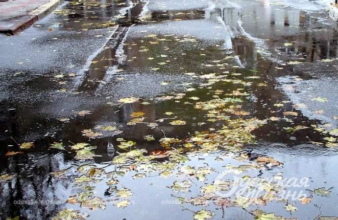 Одесса,, 26 ноября 2023