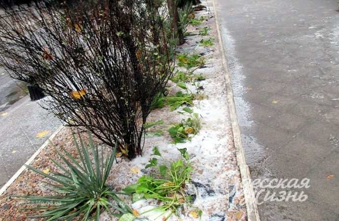 Одесса,, 26 ноября 2023-9