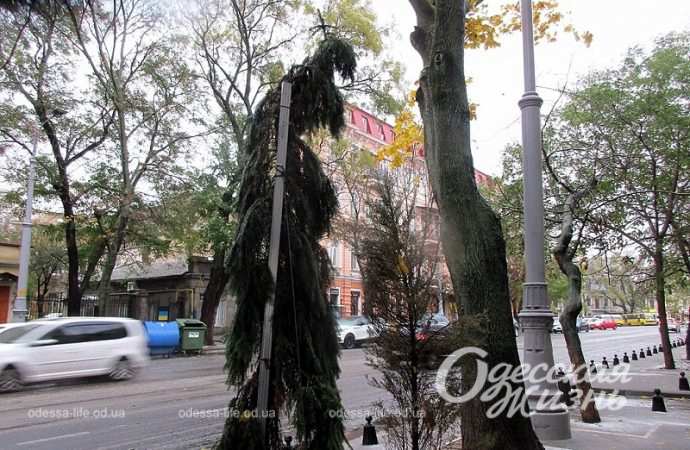 Одесса,, 26 ноября 2023-10