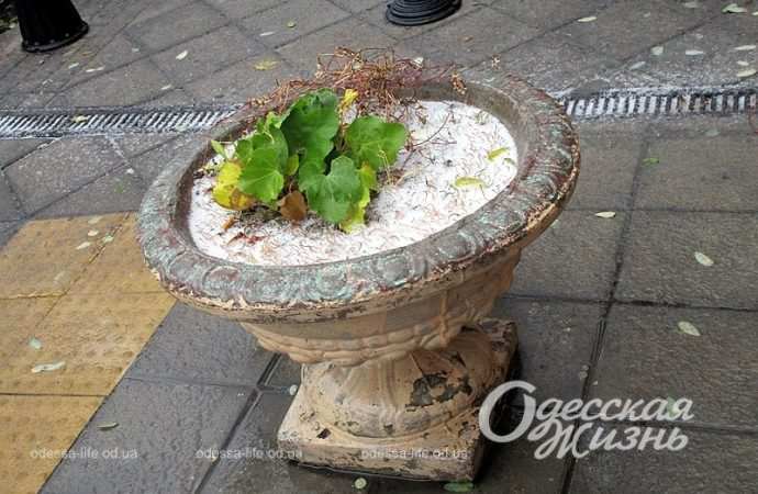 Одесса,, 26 ноября 2023-13