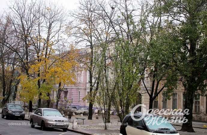 Одесса,, 26 ноября 2023-14