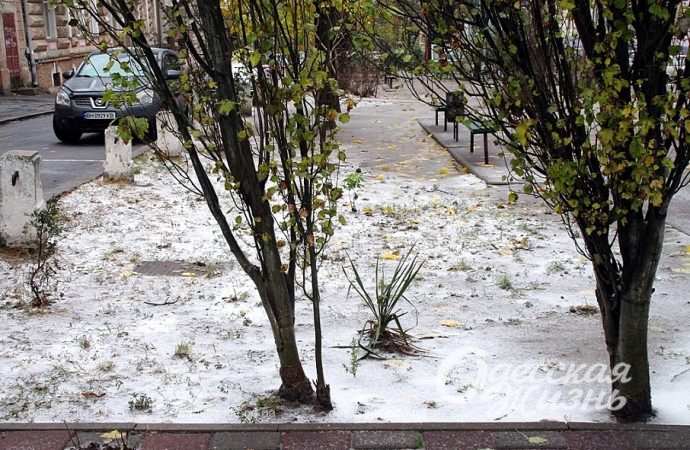 Одесса,, 26 ноября 2023-15