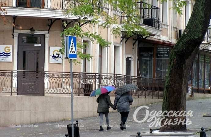 Одесса,, 26 ноября 2023-17