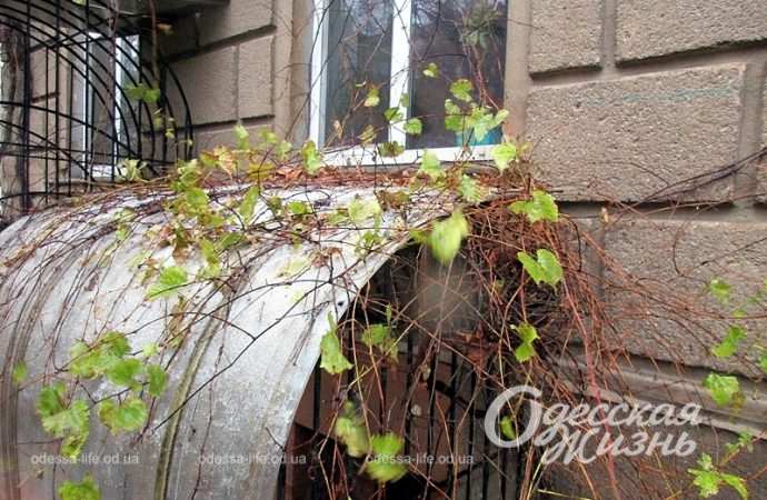 Одесса,, 26 ноября 2023-20