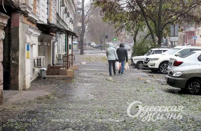 Одесса,, 26 ноября 2023-21