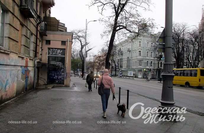 Одесса,, 26 ноября 2023-7