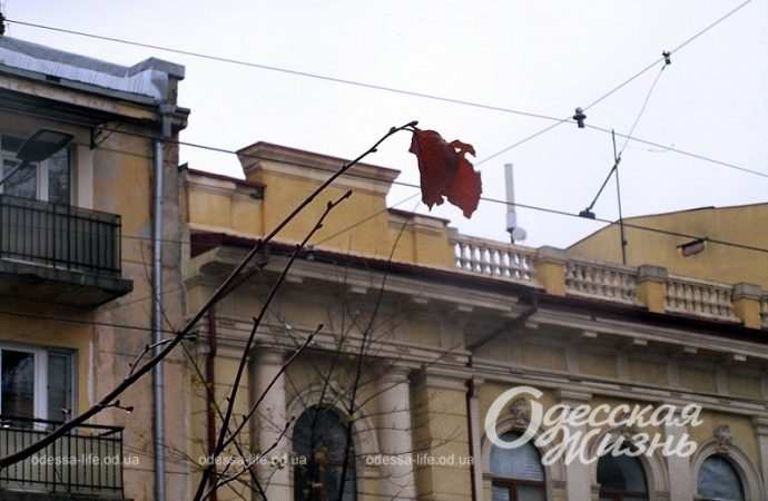 Одесса,, 26 ноября 2023-7