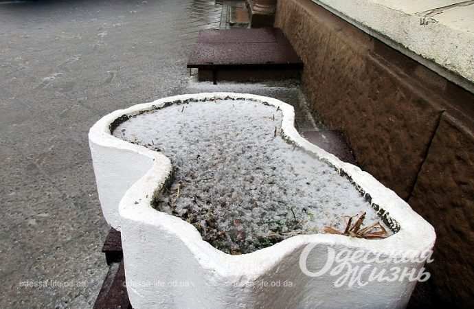 Одесса,, 26 ноября 2023-8