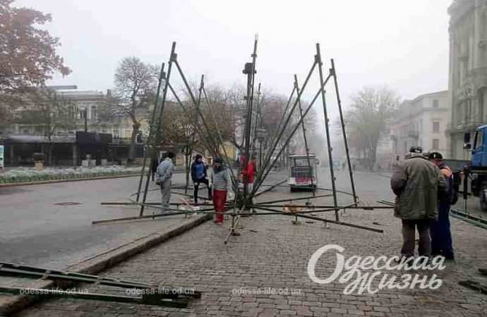 На Дерибасовской собирают елку