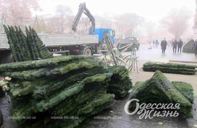 В центре Одессы собирают елку