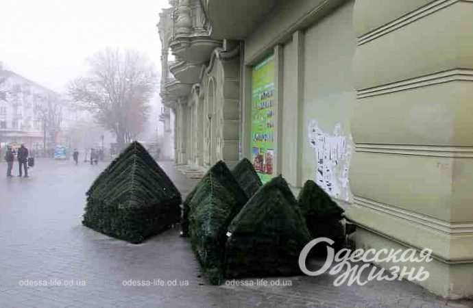 Монтаж елки в Одессе