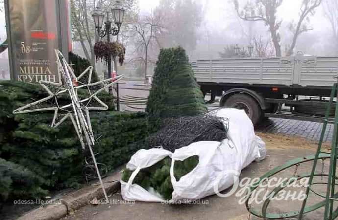 В Одессе начали монтировать новогоднюю елку