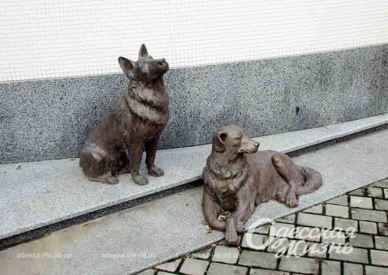 Фото дня в Одессе: собачки на Успенской