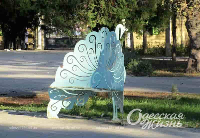 Фото дня: скамейка-бабочка