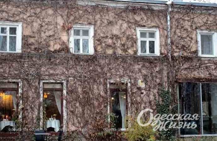 Одесский Горсад в декабре-7