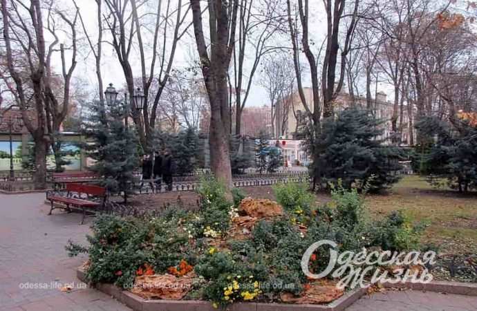 Одесский Горсад в декабре-8