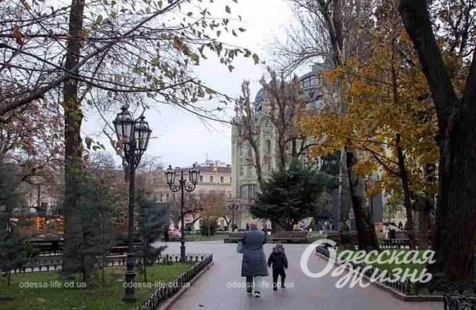 Одесский Горсад в декабре. аллея