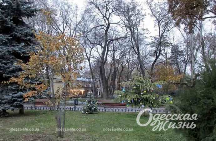 Одесский Горсад в декабре-9