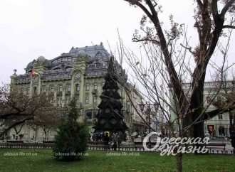 Погода в Одессе 10 декабря: что обещают синоптики в воскресенье