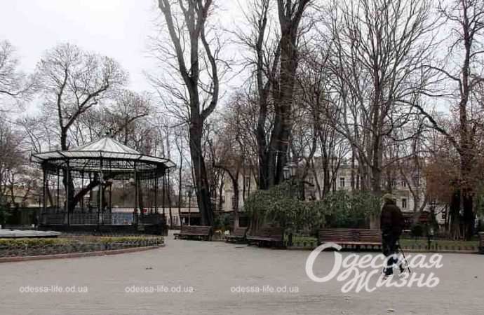 Одесский Горсад в декабре, у Ротонды