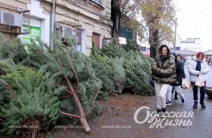 Погода в Одесі 15 грудня: який прогноз синоптиків