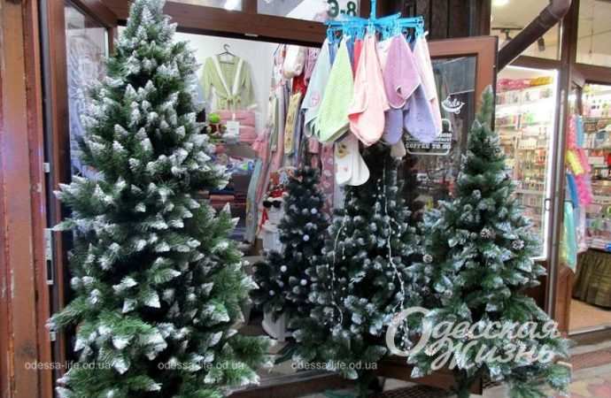 Елки. Котова