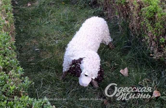 Кирха. Котова