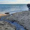 Одесская канализационная станция загрязняет пляж и Черное море: экологи бьют тревогу