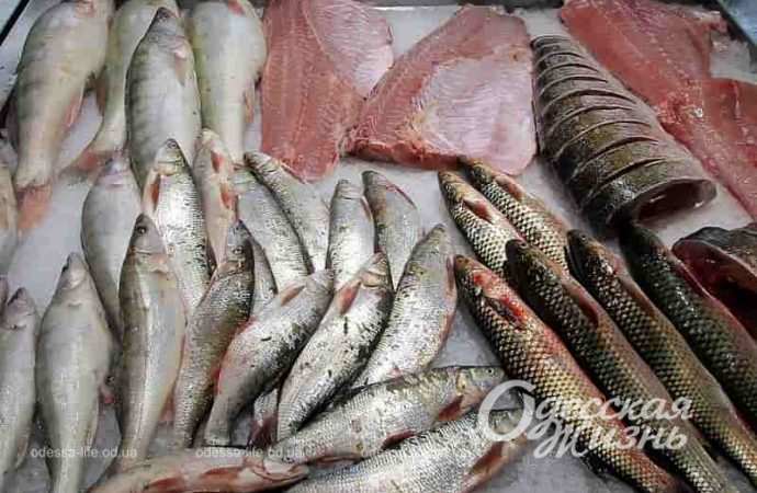 Торговля рыбой в Одессе, Новый рынок