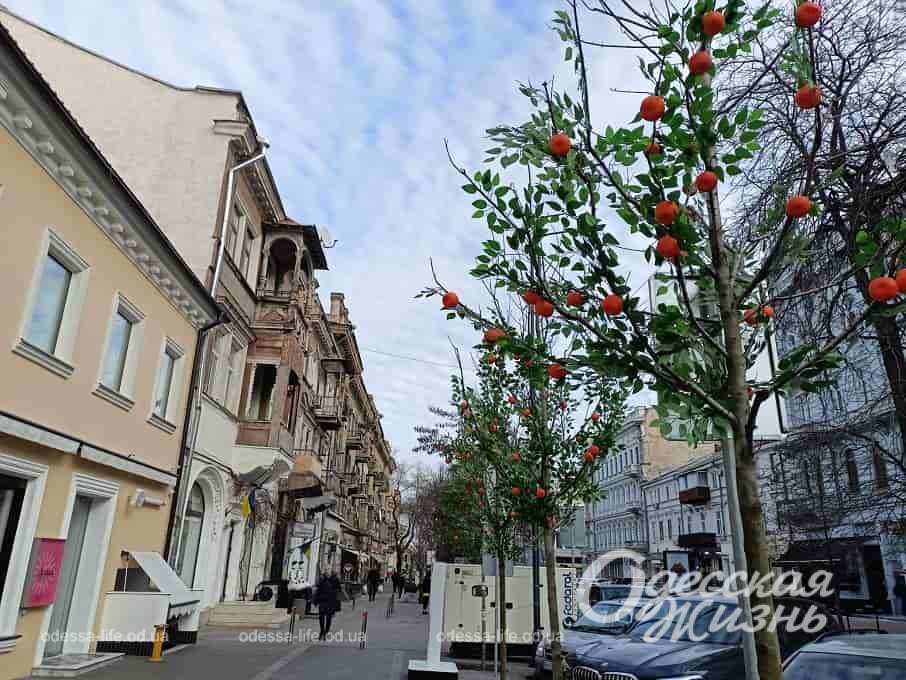 Мандарини в центрі Одеси