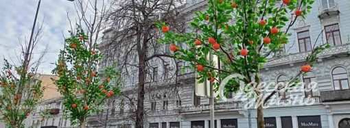 Предновогоднее настроение: в центре Одессы «созрели» мандарины, а на Таирова вырос «еловый лес» (фоторепортаж)