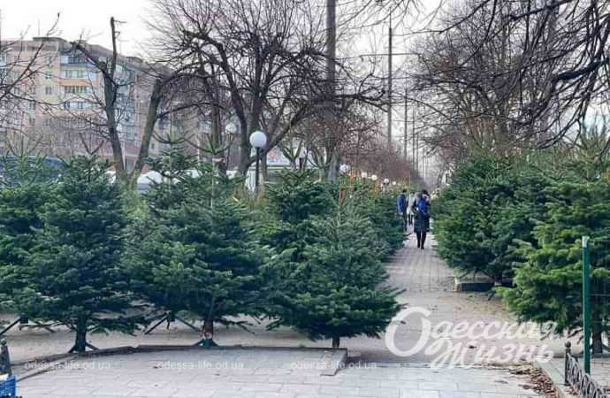 Погода в Одессе 18 декабря: каким будет начало недели