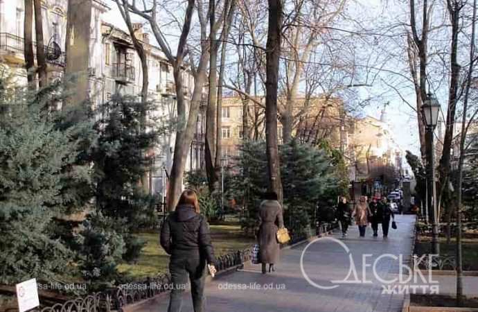 Одесса предновогодняя, аллея