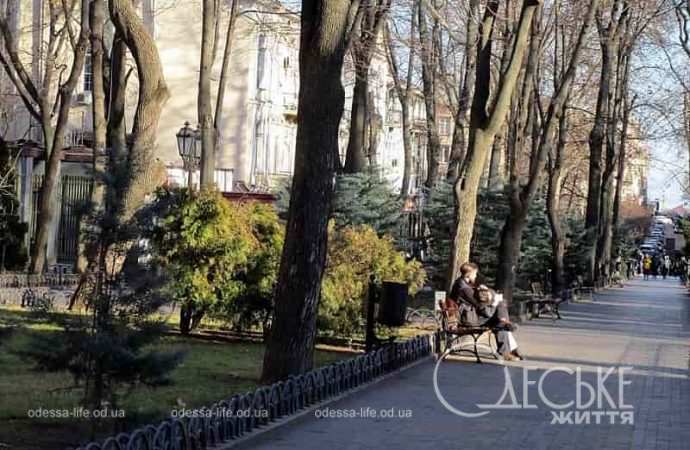 Одесса предновогодняя, в Горсаду