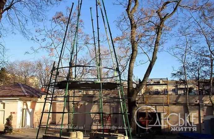 Одесса предновогодняя, елочный каркас