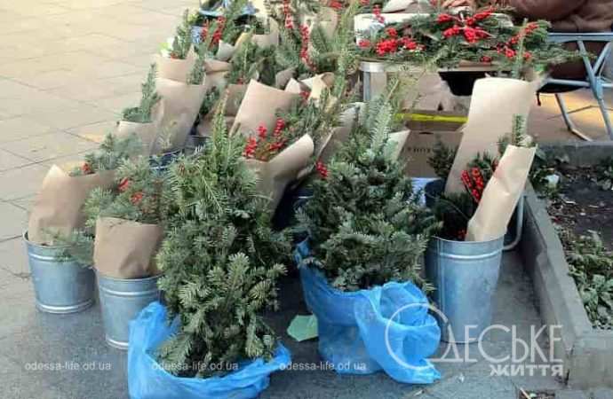 Одесса предновогодняя, елочки