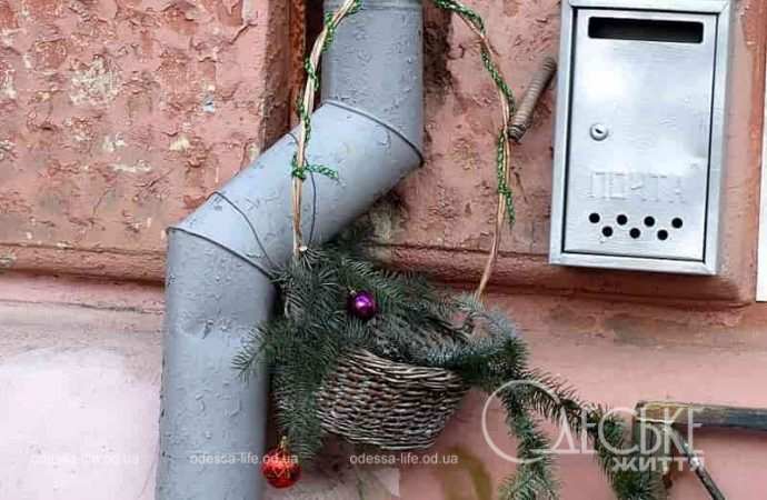 Одесса предновогодняя, еловая ветка