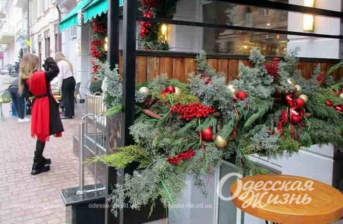 Одесские витрины, калина