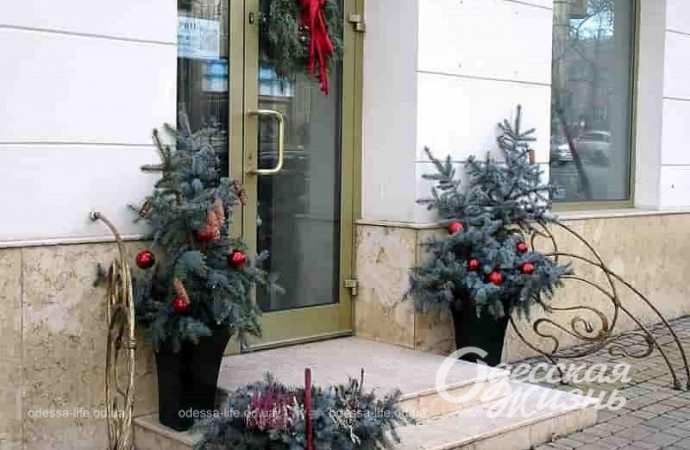 Одесские витрины, елочки