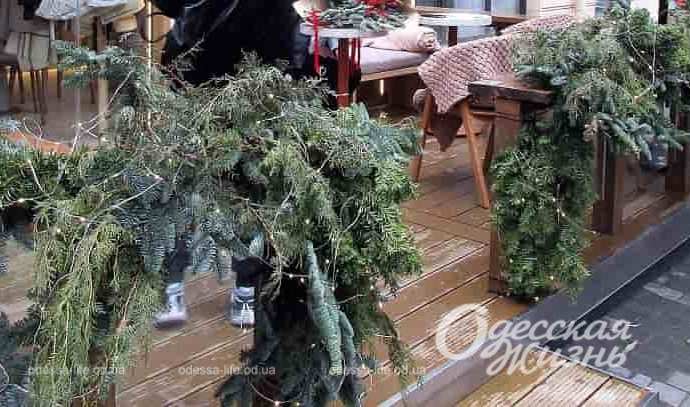 Одесские витрины, ветки